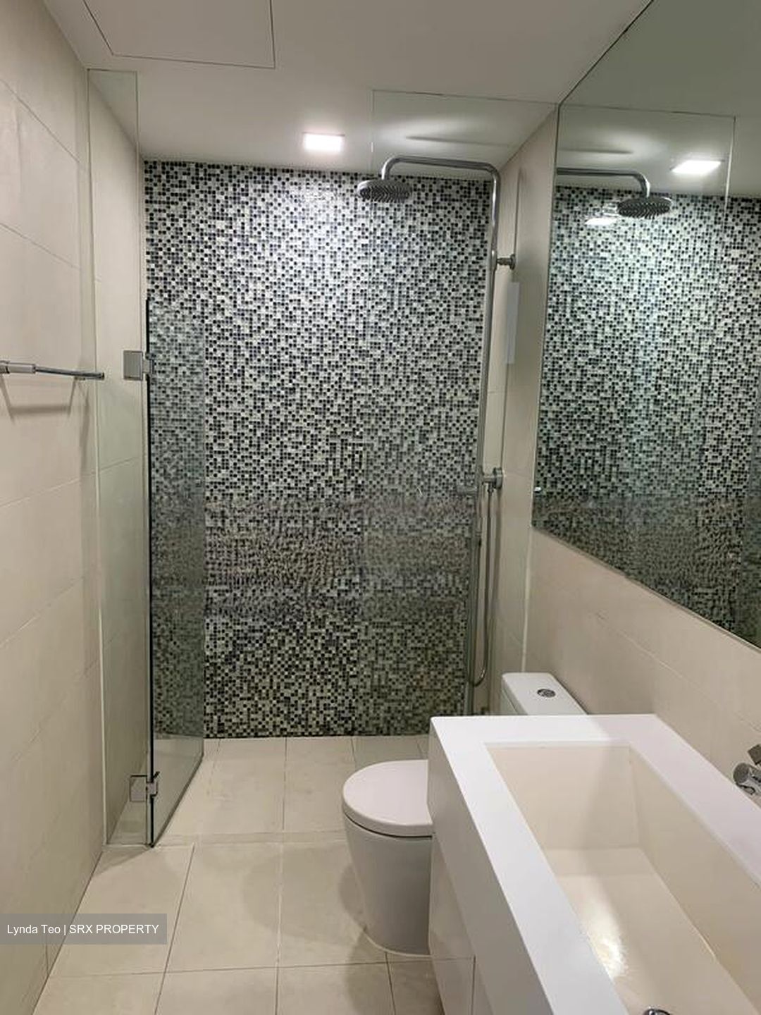 The Rochester Residences (D5), Apartment #457889031